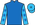 Silk Colours
